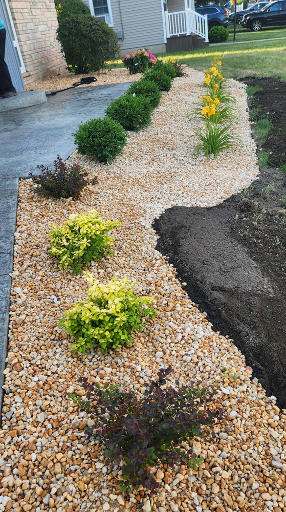 service single images