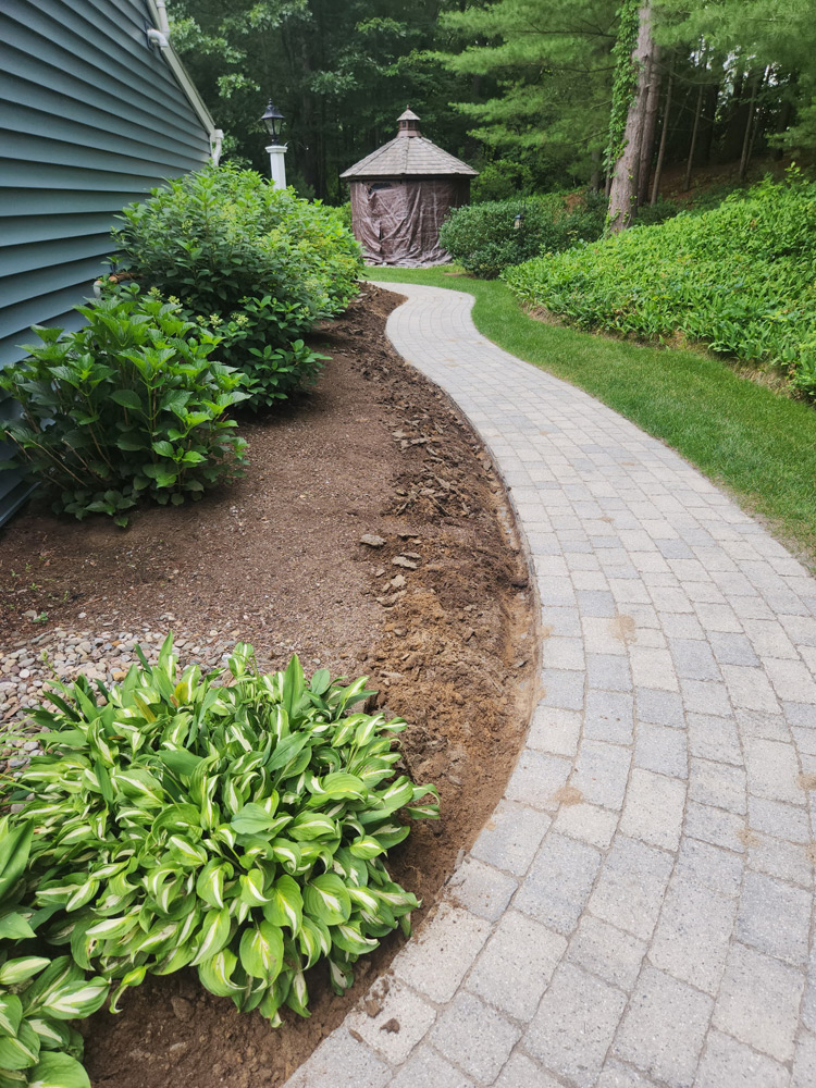 service single images