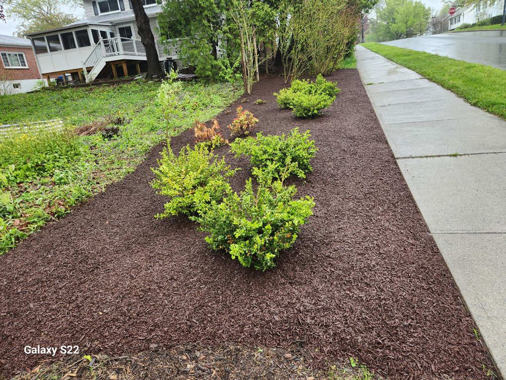 service single images