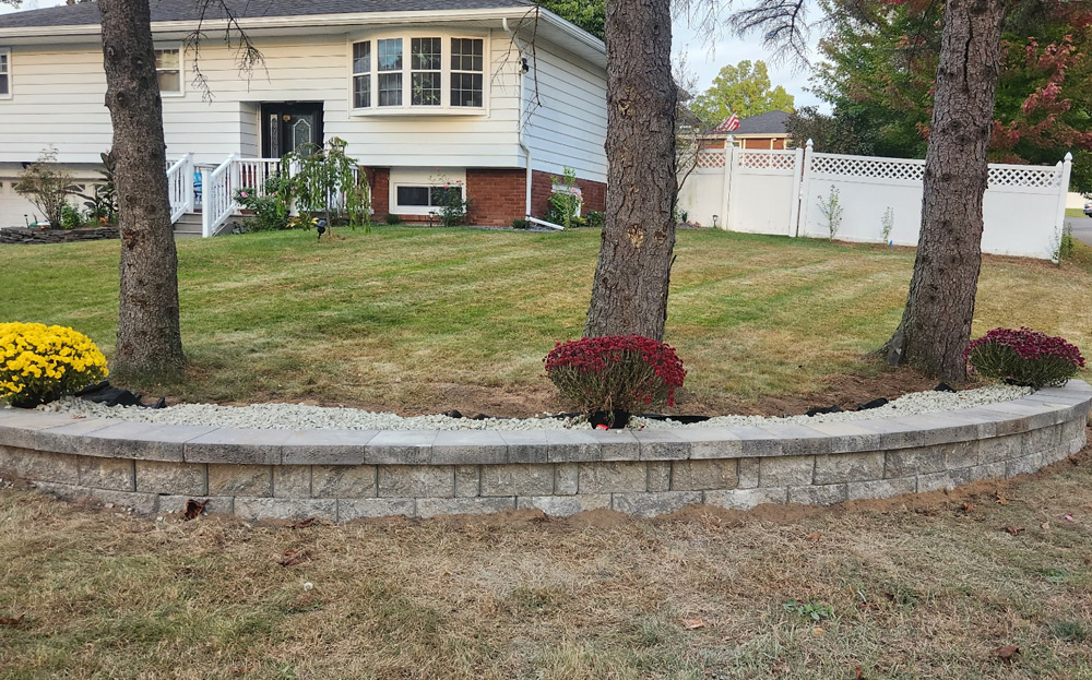 service single images