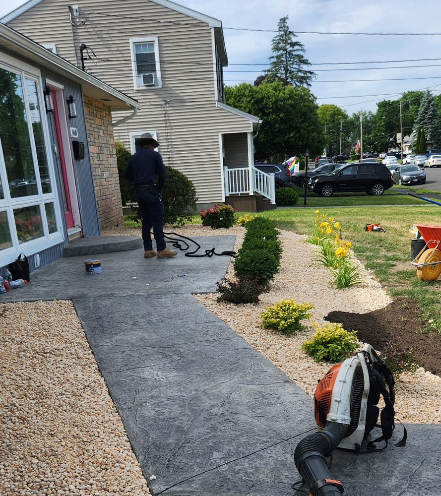 service single images